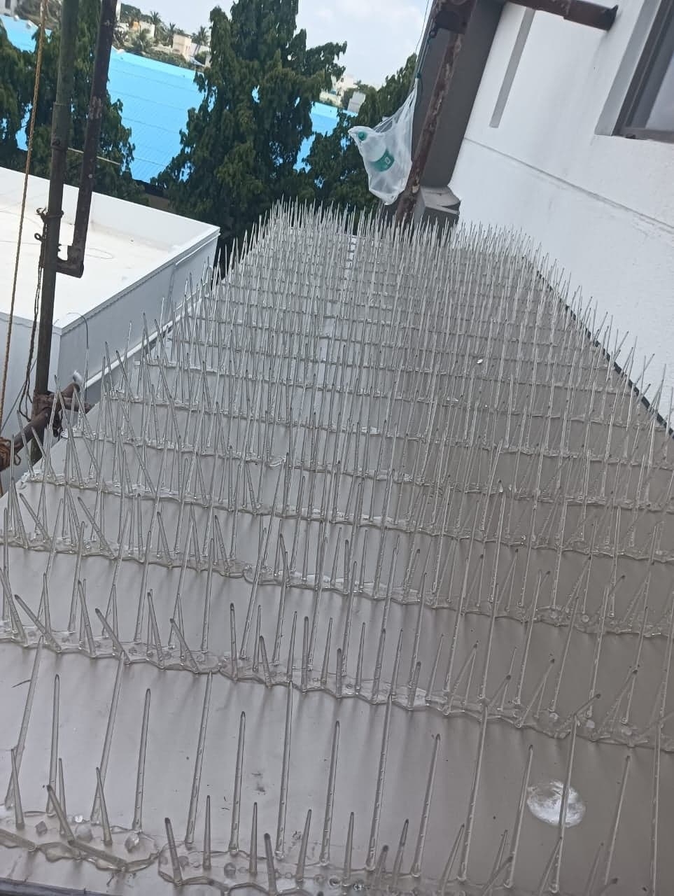 SVR Enterprises Anti-Bird Spikes Chennai