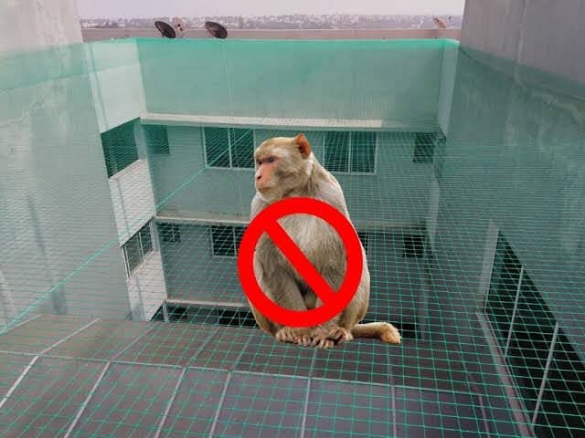 SVR Enterprises Monkey Safety Nets Chennai