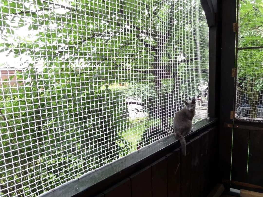 SVR Enterprises Pet Safety Nets Chennai